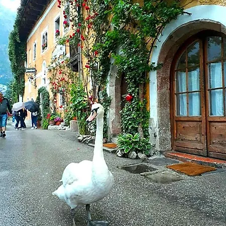 Braeugasthof 3*