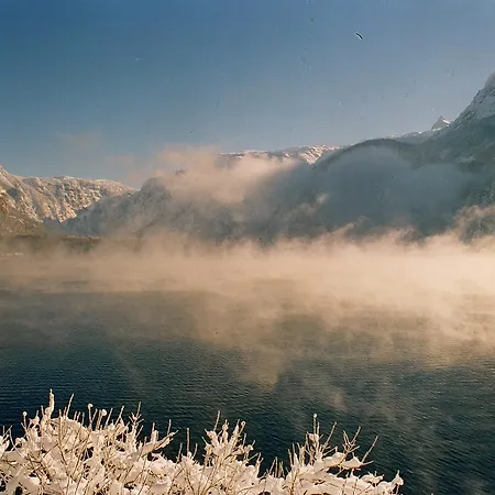 Braeugasthof Πανδοχείο