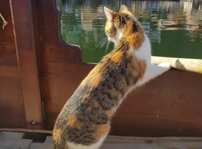 Braeugasthof 3* Hallstatt