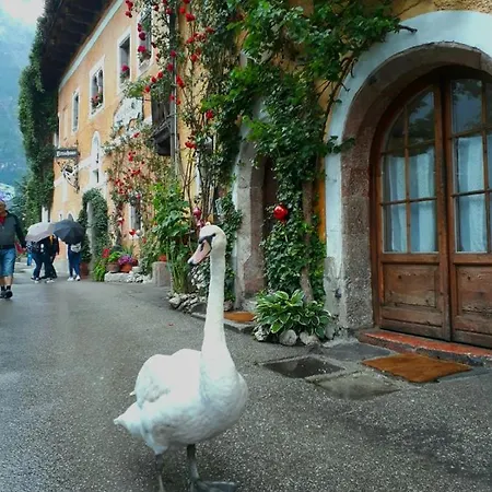 Braeugasthof Fogadó 3*